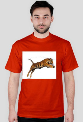 Tiger ;