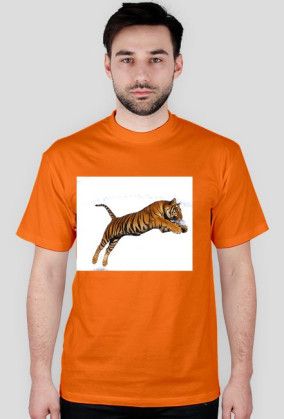Tiger ;