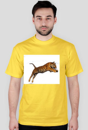 Tiger ;