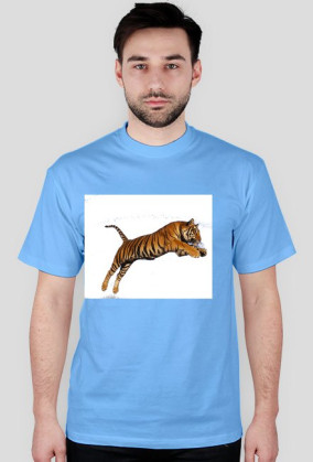 Tiger ;
