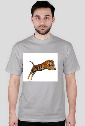 Tiger ;