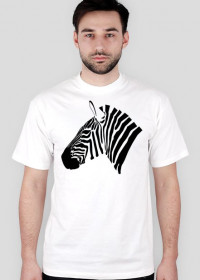Zwiak - Zebra