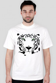 Zwiak - Tygrys