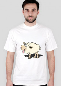 owca / owieczka