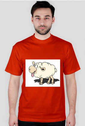 owca / owieczka