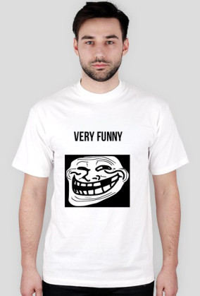 IpMan 6