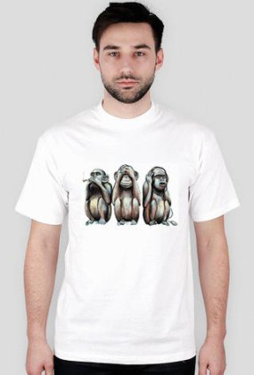 Monkeys