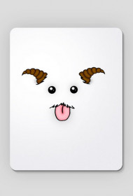 Poro
