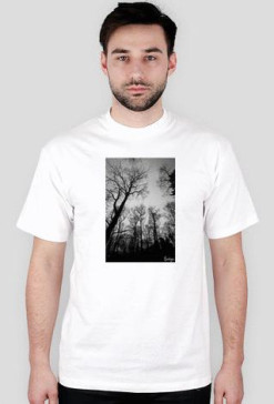 Wood white