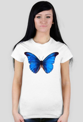 Motyl