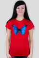 Motyl