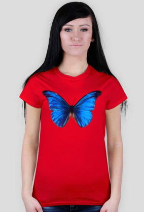 Motyl