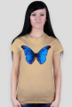 Motyl