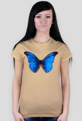 Motyl