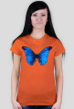 Motyl