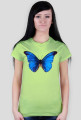 Motyl