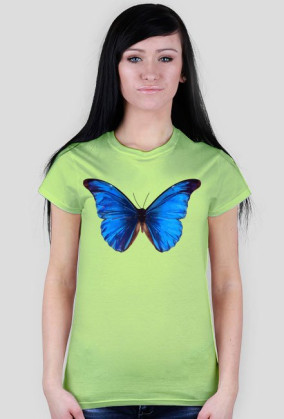 Motyl