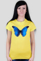 Motyl