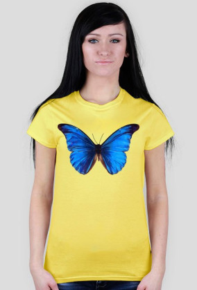 Motyl