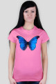 Motyl