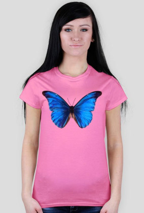 Motyl
