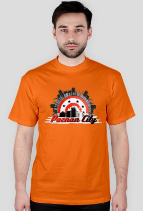 Poznań City koszulka szara 2