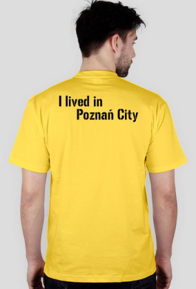 Poznań City koszulka szara 2
