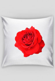 Poduszka "Red Rose"