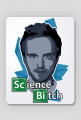 Breaking Bad - Science Bitch