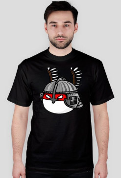 Polandball Husarz #1