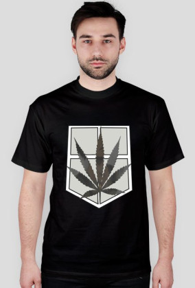 Shingeki No Weed