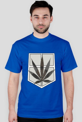 Shingeki No Weed