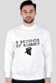 5SOS