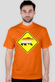 Bear Sign Flag