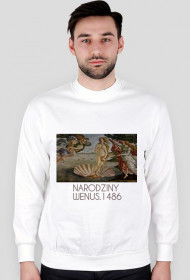 HIPSTERSKA BLUZA-NARODZINY WENUS