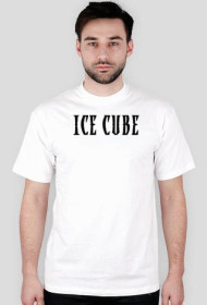 ICE CUBE LOGO