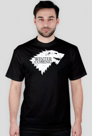 Game of Thrones - Winter is coming