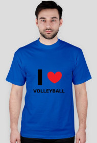 I Volleyball