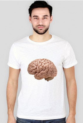 Mózg-koszulka