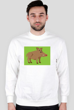 Bluza  DZIK