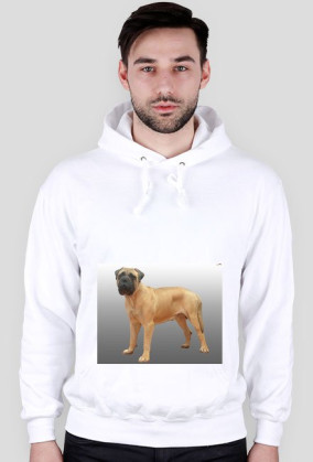bluza