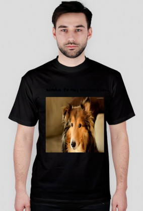 Simba to mój ulubiony pies