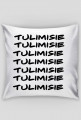 TULIMISIE