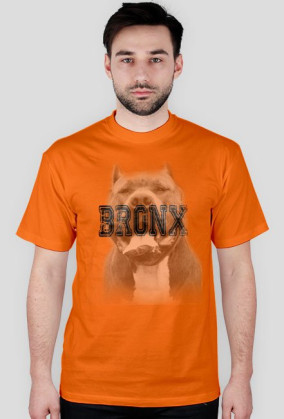 BRONX