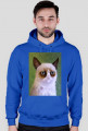 grumpy cat bluza