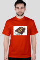 dollar