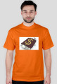 dollar