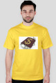 dollar