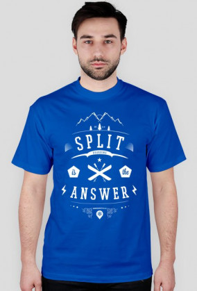 Koszulka męska - SPLITBOARDING IS THE ANSWER (różne kolory!)
