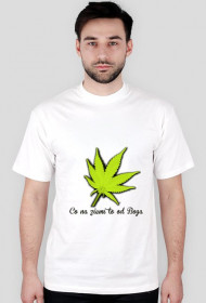 Co na ziemi to od Boga